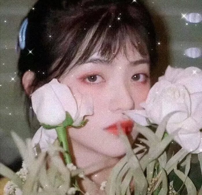 风起云舒